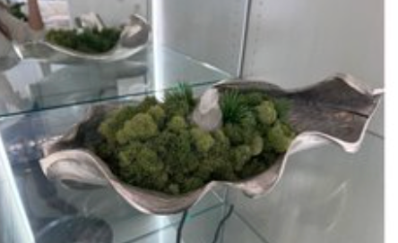 Silver Curled Leaf Container Floral - Green