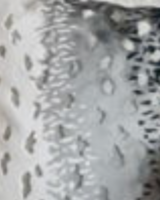 Tusk Guest Room Bedding