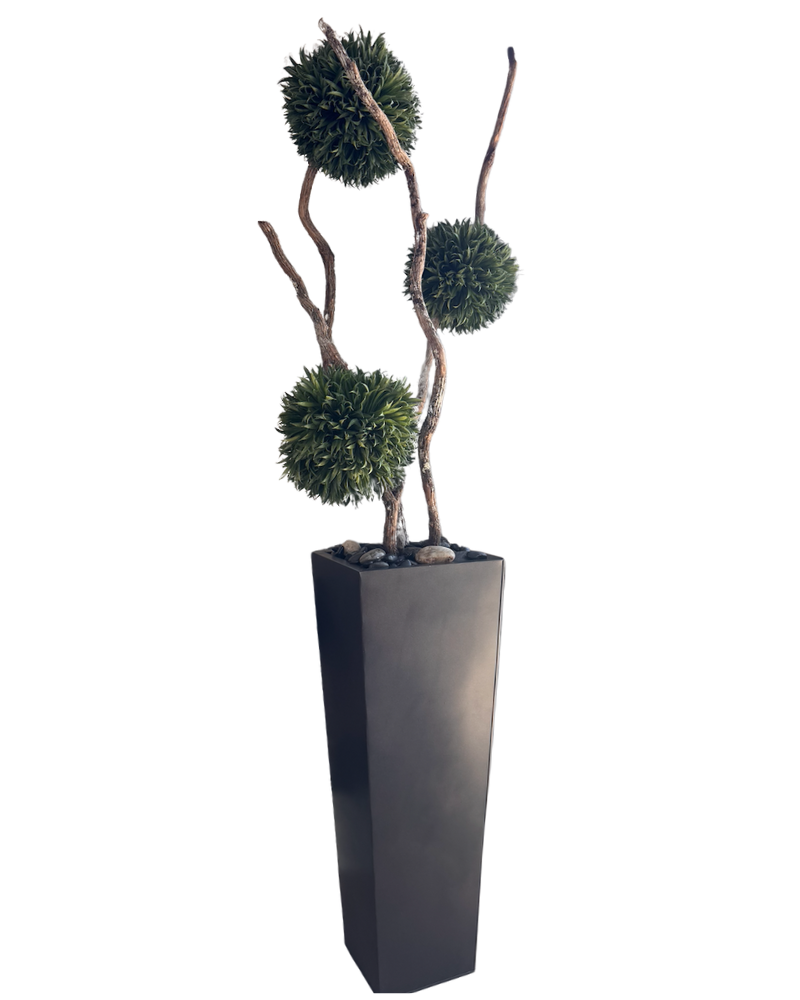 Sculpted Tree - Black