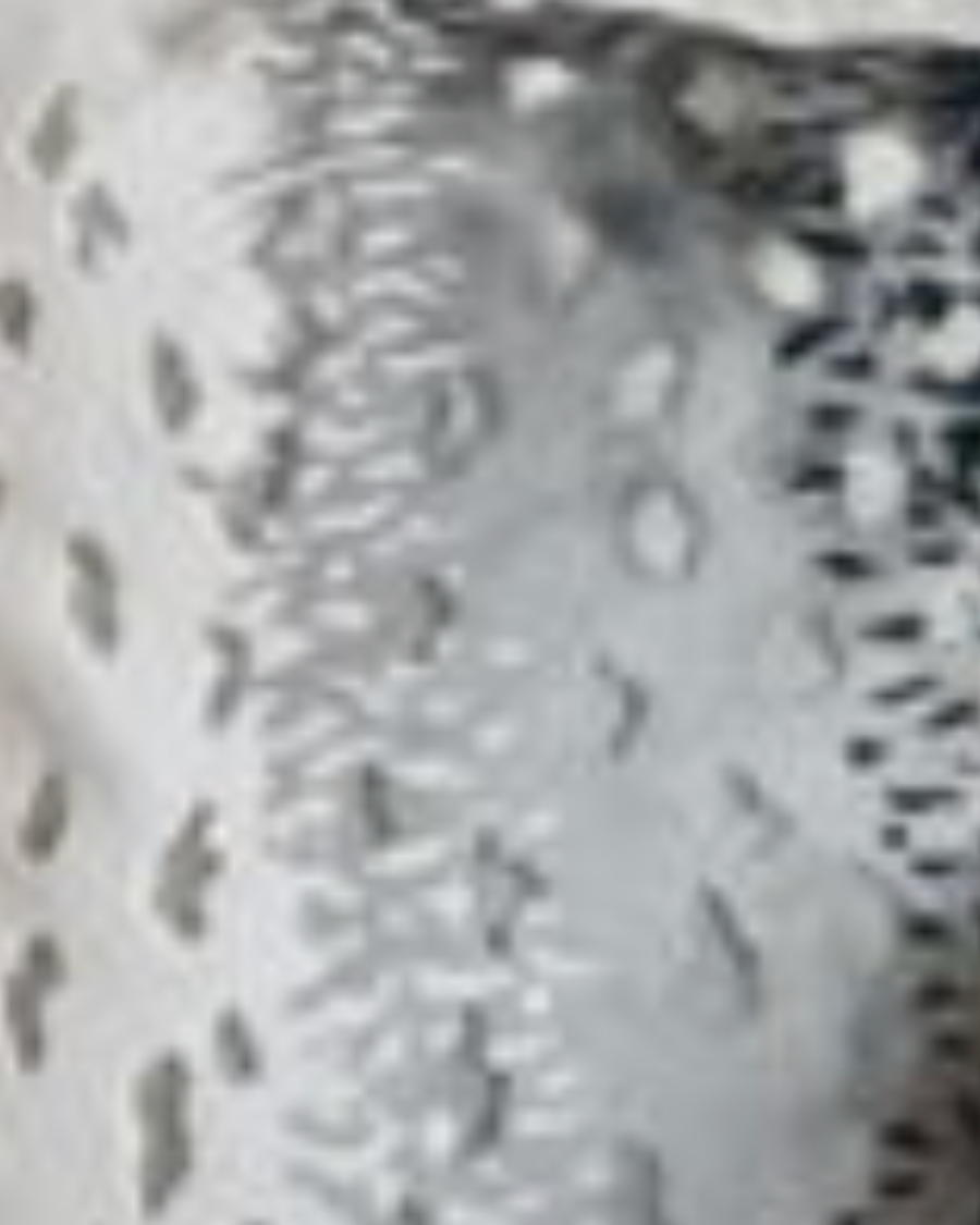 Tusk Guest Room Bedding